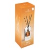 Difuzor de arome ILAN AMBER 150ml