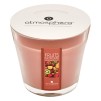 Lumânare parfumată NINA EXOTIC FRUITS