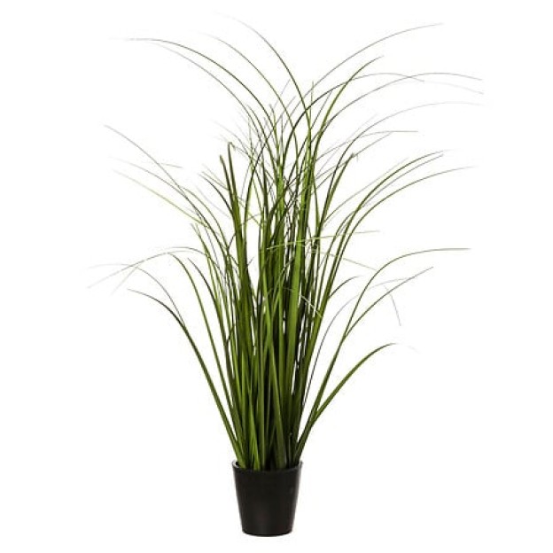 Композиция цветок GRASS