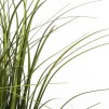 Композиция цветок GRASS