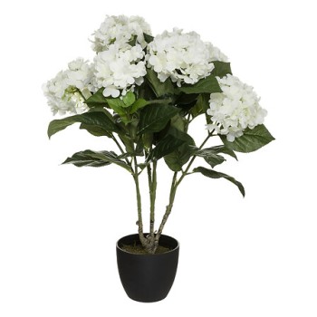 Floare decorativă