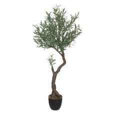Copac OLIVE H150