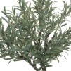Дерево OLIVE H150