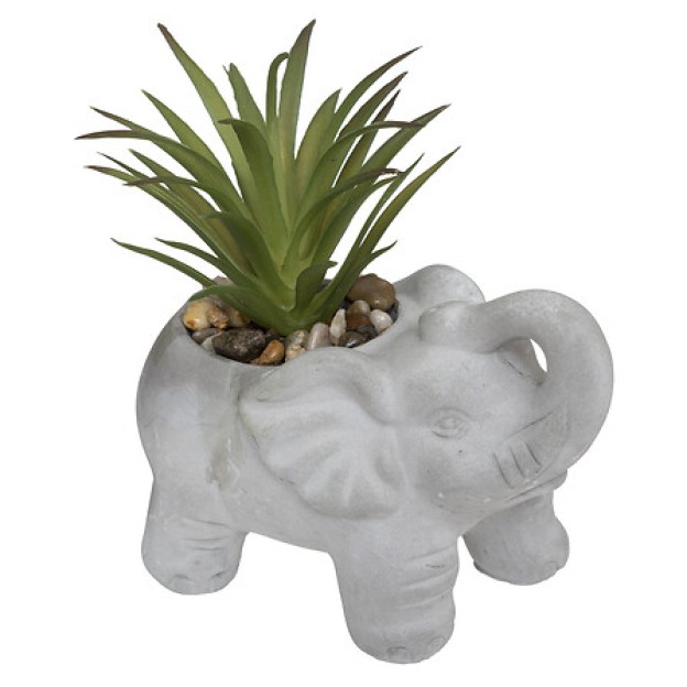 Растение декоративный ELEPHAMIO H10