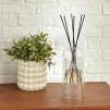 Difuzor arome ILAN EUCA GLASS 500ML