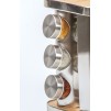 Set recipiente condimente cu suport