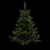 Luminite brad lumina calda  2.2M