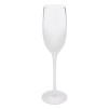 Set pahare șampanie GIVRE X6