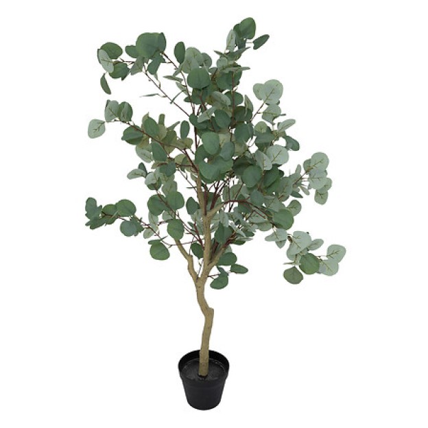 Композиция цветок EUCALYPTUS H127