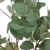 Композиция цветок EUCALYPTUS H127