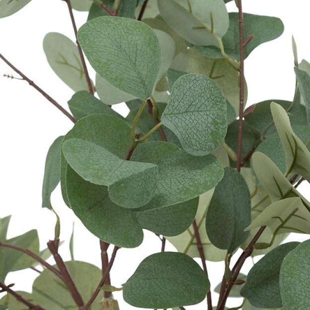 Композиция цветок EUCALYPTUS H127