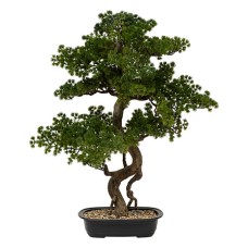 Bonsai cu ghiveci H86