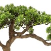 Bonsai Цветочный горшок H45