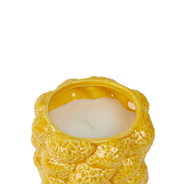 Lumânare aromatizată CITR 330G