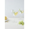 Set de 2 pahare pentru gin Lunis 60 cl aurii