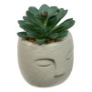 Planta suculentă Teri înălțime 13 cm, ghiveci din ciment asortat