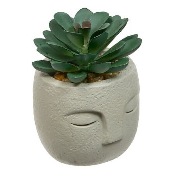 Plantă suculentă Teri, 13 cm