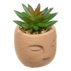 Planta suculentă Teri înălțime 13 cm, ghiveci din ciment asortat
