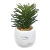 Planta suculentă Teri înălțime 13 cm, ghiveci din ciment asortat