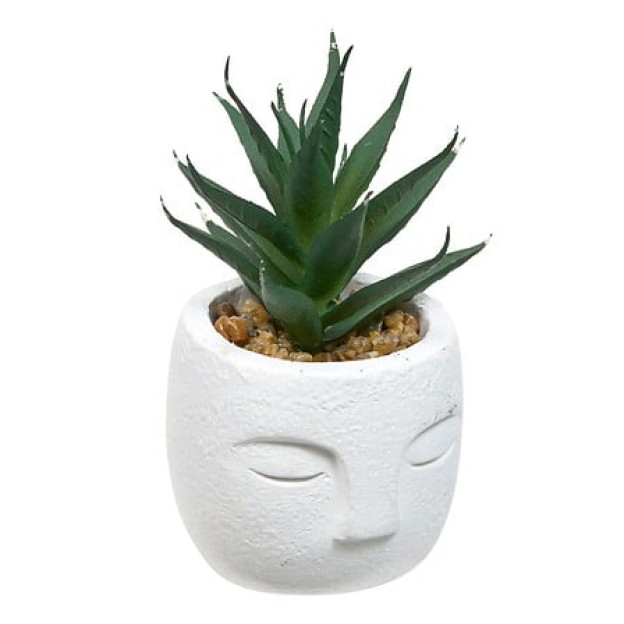 Planta suculentă Teri înălțime 13 cm, ghiveci din ciment asortat