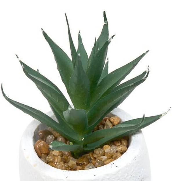 Planta suculentă Teri înălțime 13 cm, ghiveci din ciment asortat