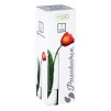 Vază cilindrica din sticlă FLORA H26