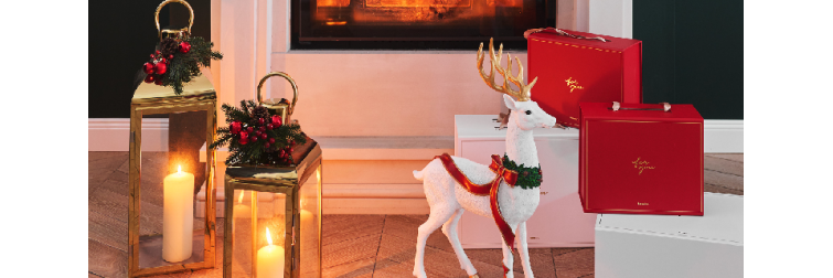 Accesorii de Crăciun