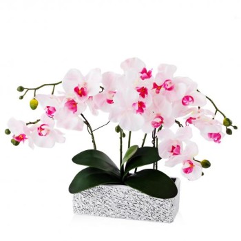 compoziție florală ORCHIANUM SMASH