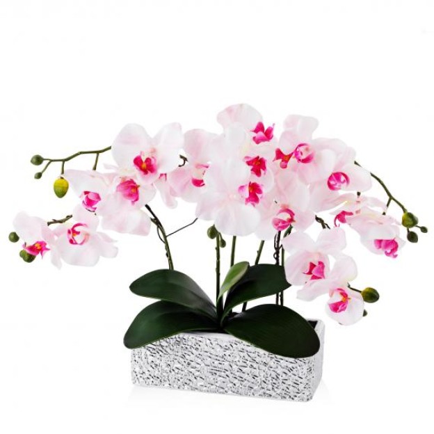 Цветочная композиция ORCHIANUM SMASH