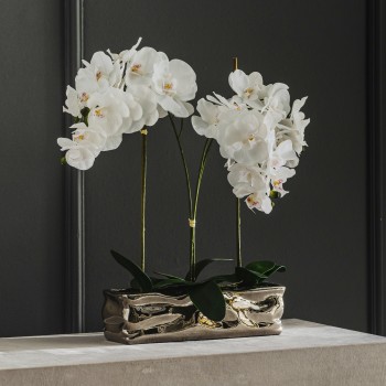 compoziție florală ORCHIANUM BIG