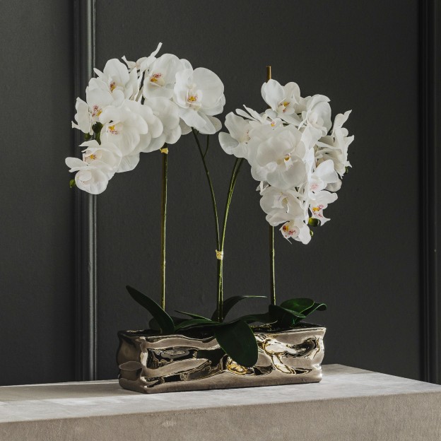 Цветочная композиция ORCHIANUM BIG