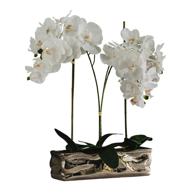 Цветочная композиция ORCHIANUM BIG