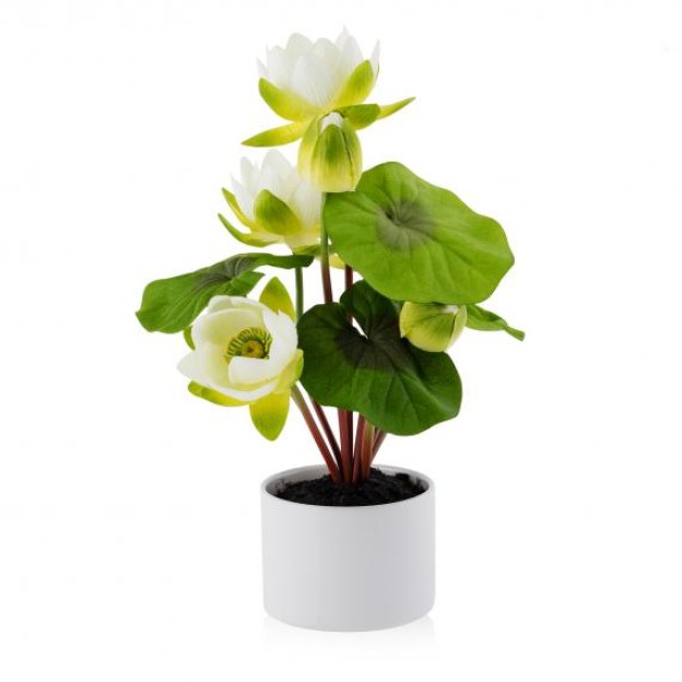 Цветочная композиция NENUPHAR