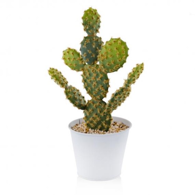 compozitie florala CACTINI
