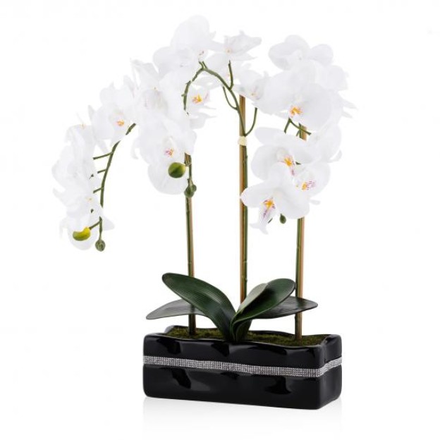 Floare decorativa ORCHIANUM DIAM