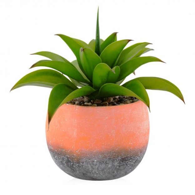 Floare decorativa BAMBINI