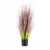 compozitie florala SWEETFLAG