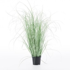 compozitie florala GRASSO