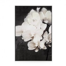 Картина ORCHIDES