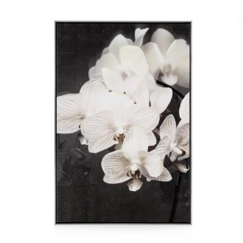 Tablou ORCHIDES