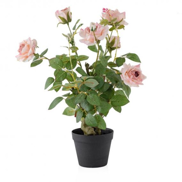 Цветочная композиция ROSETREE