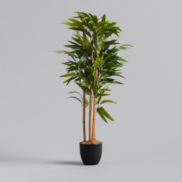 compozitie florala SAPLING