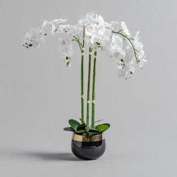 Композиция цветок ORCHIDA