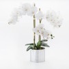 compozitie florala ORCHIDISCO