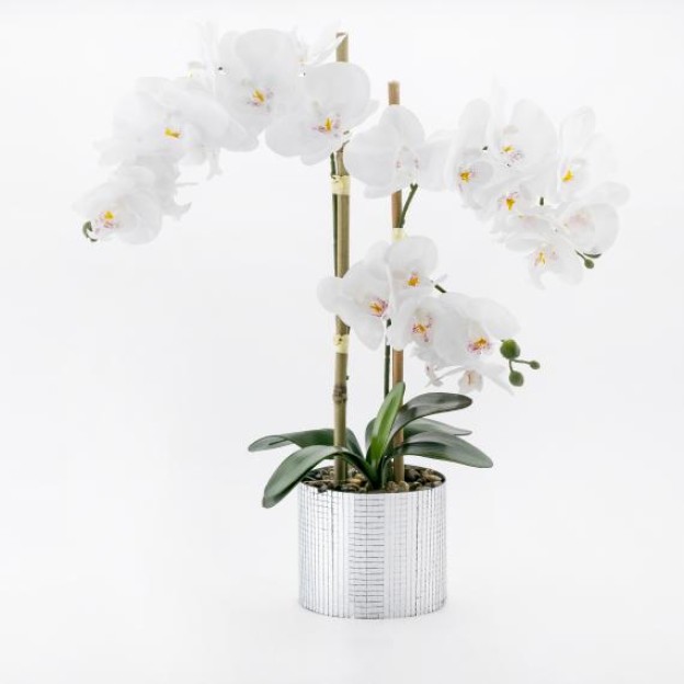 compozitie florala ORCHIDISCO