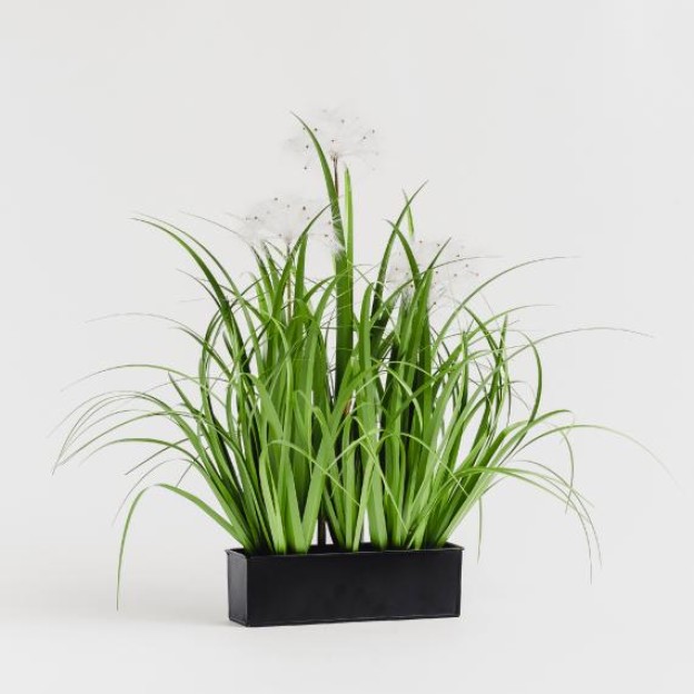 Цветочная композиция DANDELICO