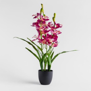 compoziție florală ORCHENIS