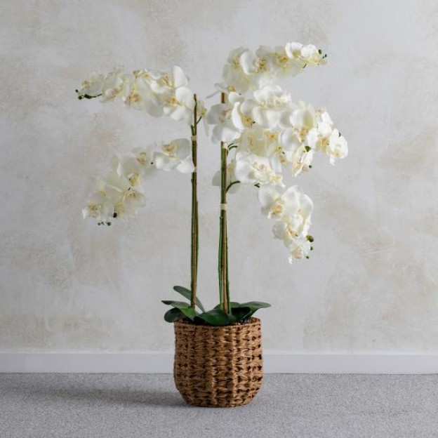 Цветочная композиция ORCHOLOW