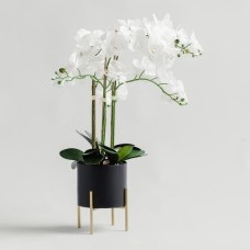 compozitie florala ORCHIDANOS