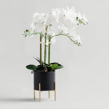 compoziție florală ORCHIDANOS